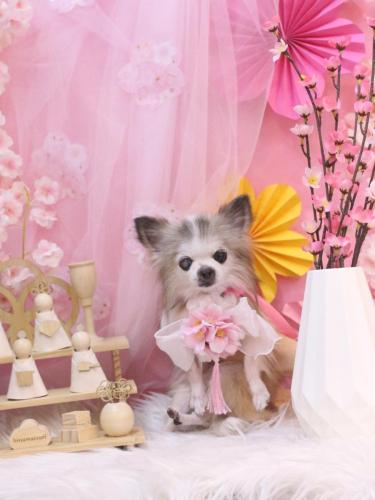 20250309クラウディアちゃん